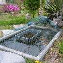 수연농장 이미지