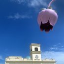 (유)여수렌트카 이미지