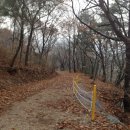 양달캠핑장 이미지