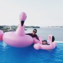 Y(와이)풀펜션 이미지