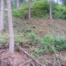 원우농장 이미지