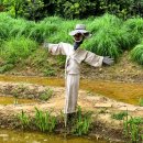 바다향기수목원(바다너울원) 이미지