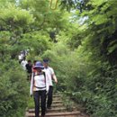 홍이상선생묘 및 신도비 이미지