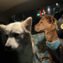 새물공원 이미지