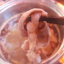 라쯔이쯔이 이미지