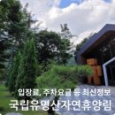 가평 국립 유명산자연휴양림 가이드: 입장료, 주차요금, 계곡, 캠핑, 트레킹 정보 총정리!