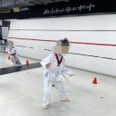 MTA 늘푸른 태권도 | 탑동초 늘푸른태권도에서 우리 아이 강하게 만들어드립니다