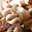 정순순대 이미지