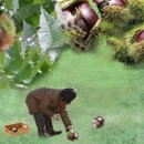 이명박 박근혜 전 대통령님 건강히 잘계시죠!! 이미지