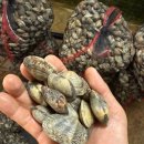 푸른수산 이미지