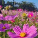 이호동한의원 이미지