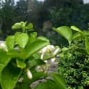 대공원역 1번 출구 뒤 이미지