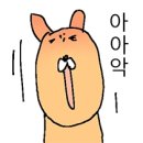 꽃빛나다 - 수원시 영통구 광교중앙로25번길 64 | 꽃빛나다