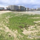 이안스주식회사 이미지