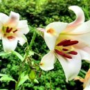 의영농장 이미지