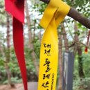 대전둘레산길(3구간) | 대전 둘레산길 3구간 마무리.[20240914]