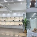 마리켄넬