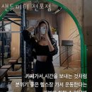 이안피티 이미지