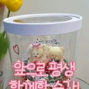 K디테일박스