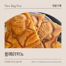 붕메리카노 | 울산 붕메리카노 : 붕어빵파는 카페는 처음이지?