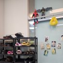 약지애견카페 서창점 이미지