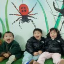 어린왕자어린이집 이미지