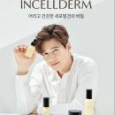 인셀덤클라쓰