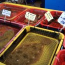 힐링비치 이미지