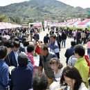 장안산 봄나물 축제 이미지