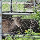 단비목장 이미지