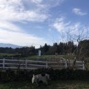 우진목장 이미지