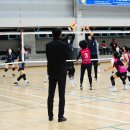 인제체육관 이미지