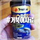 트로피칼바이오