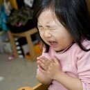태웅한의원 | [슬램덩크] 갖고 있는 슬램덩크 공식·비공식 굿즈 정리(기록용) + 사담