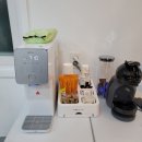 바오도그 이미지