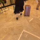 날으는탕수육 | 🇲🇾 쿠알라룸푸르 완전 느좋의 도시 // | 근데 이제 드사쇼를 곁들인 …