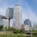 러셀강남독서실 | 분당 정자동 수학학원 2025 | 고3 엄마가 직접 정리