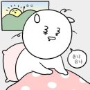 죽이야기 태안새빛점 | 3월 일상 3년 만에 별강아지 어셈블 대전 여행