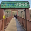 세종산림욕장화장실 이미지