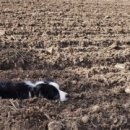 모란제2농장 이미지