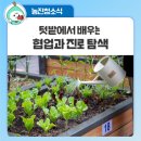 도시농부의 자원순환 텃밭농사 | 텃밭에서 배우는 협업, 미래 진로까지 찾다