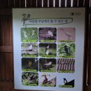 동읍641 | 여름 국내 여행지 추천 연꽃 명소 주남저수지 7월에 가볼 만한 곳