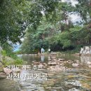 관악산 광장 | 관악산 과천향교 계곡 주차 애견동반 가능한 경기도 물놀이 추천