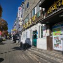 군위교육지원청화장실 | 단풍 구경 실컷한 회사 교육(이라 쓰고 여행이라 읽기)