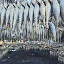 용구농장 이미지