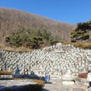 숲속의안뜰 이미지