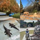 벅스 | 광주 아기랑 갈만한 곳) 광주 패밀리랜드 동물원 / 벅스 랜드 후기!