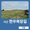 새한개량한우목장 | 충남 서산 가볼만한 곳 I 아이와 걷기 좋은 목장 산책길 서산한우목장 후기