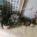 중구청.메리놀병원 이미지