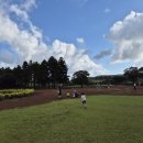 민아목장 이미지